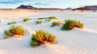 7-14 Tage Mein Schiff Kanaren & Kapverden 7-14 Tage Mein Schiff Kanaren & Kapverden