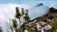 TUI Cruises Angebote mit 100 € Bordguthaben TUI Cruises Angebote mit 100 € Bordguthaben