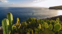 TUI Cruises Sonderpreise Mein Schiff Last Minute TUI Cruises Sonderpreise Mein Schiff Last Minute