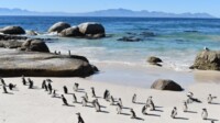 Mein Schiff Südafrika & Namibia Transafrika & Transozean Mein Schiff Südafrika & Namibia Transafrika & Transozean